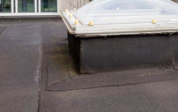 disadvantages of Altnaharra flat roofs