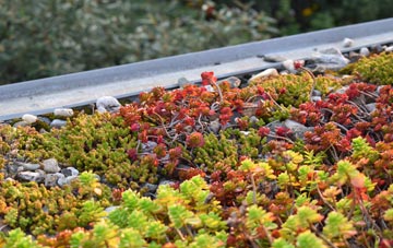 the cost of Altnaharra green roof installation