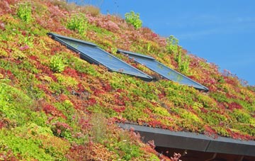 Altnaharra living roof systems