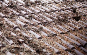 Altnaharra roof cleaning companies